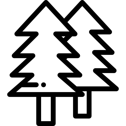 パインズ Detailed Rounded Lineal icon