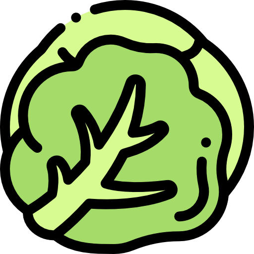 Cabbage Detailed Rounded Lineal color icon