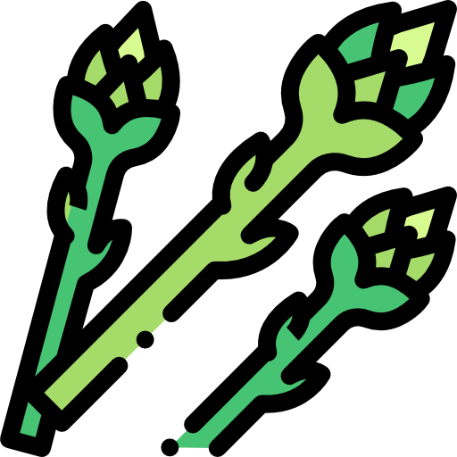 Asparagus Detailed Rounded Lineal color icon