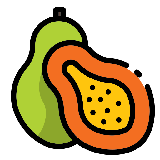 papaja Generic Outline Color ikona