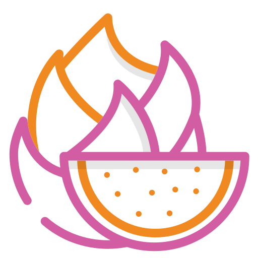 Dragon fruit Generic Outline Color icon