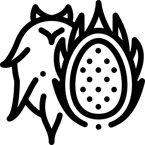 pitaya Detailed Rounded Lineal icona