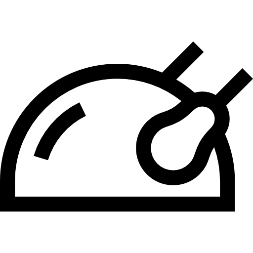 kaczka Basic Straight Lineal ikona
