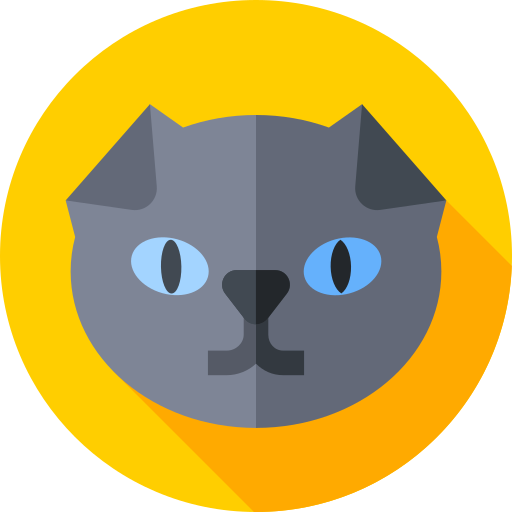 Шотландская вислоухая кошка Flat Circular Flat иконка
