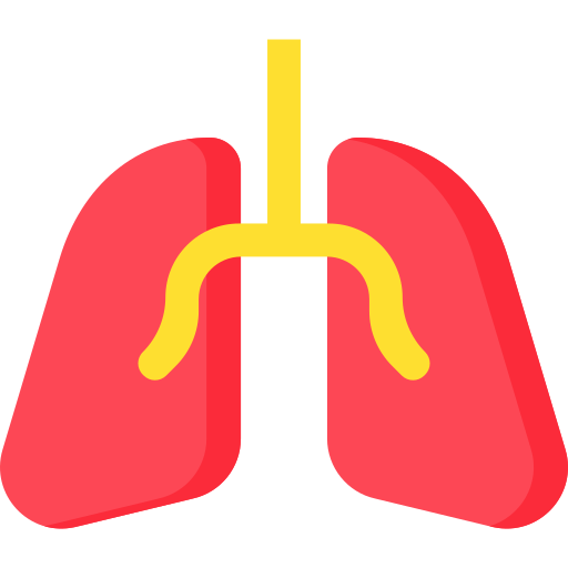 pulmões Special Flat Ícone