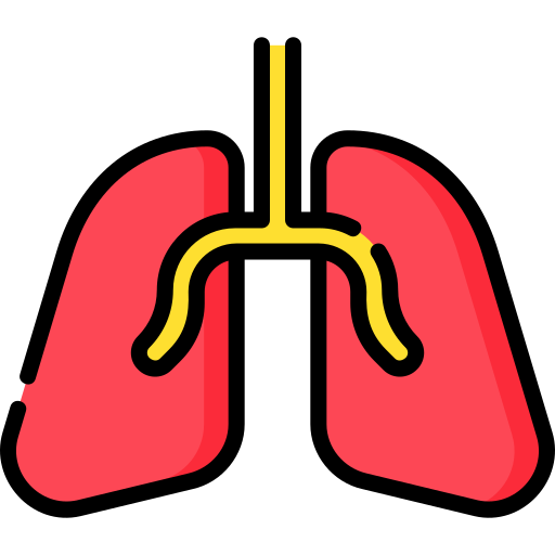 pulmones Special Lineal color icono