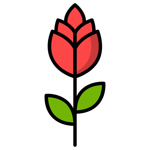 rose Generic Outline Color icon