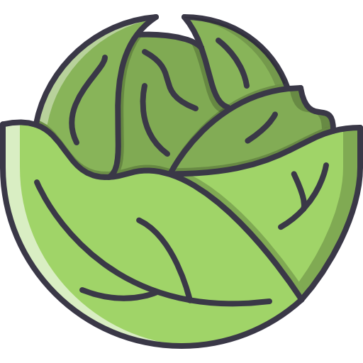 Cabbage Coloring Color icon
