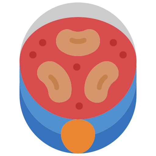 Bean Generic Flat icon