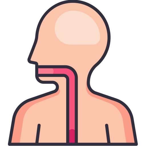 Esophagus Generic Outline Color icon