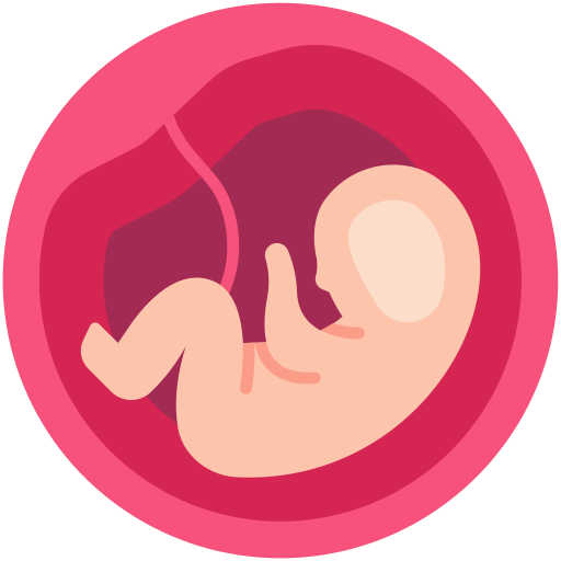 płód Generic Flat ikona