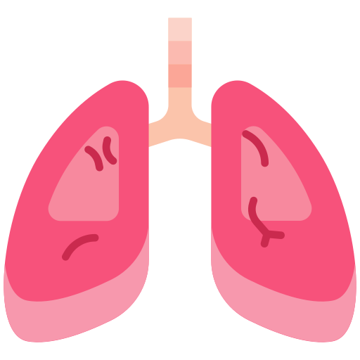 płuca Generic Flat ikona