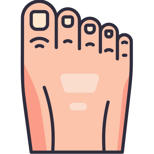 Toe Generic Outline Color icon