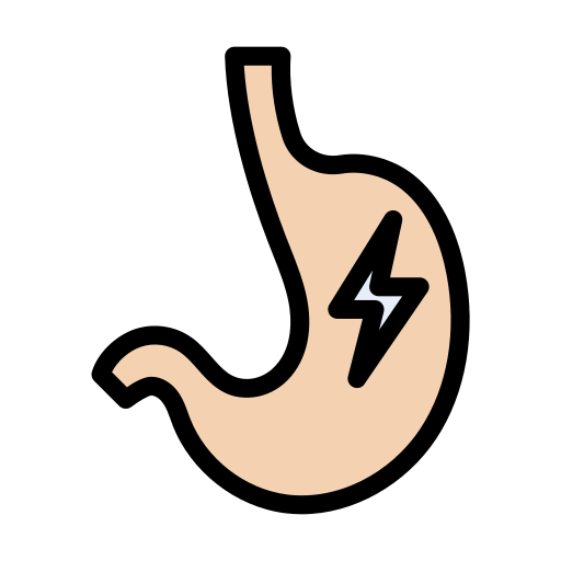 Stomach Vector Stall Lineal Color icon