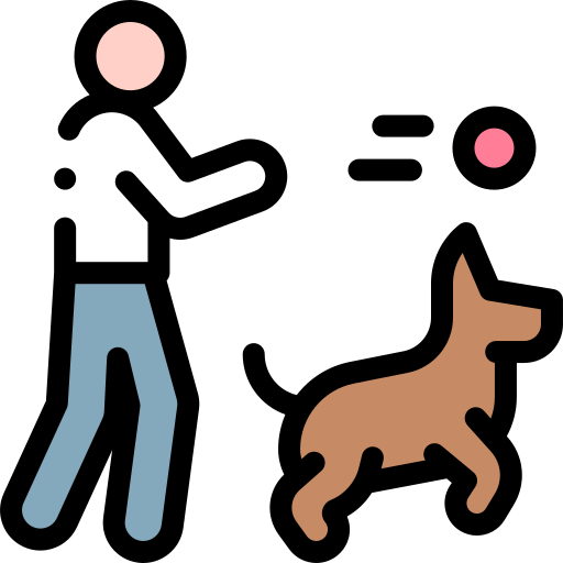 Dog competition Detailed Rounded Lineal color icon