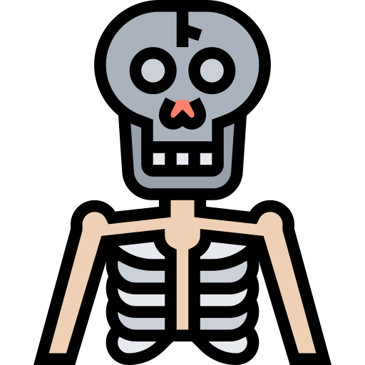 Skeleton Meticulous Lineal Color icon