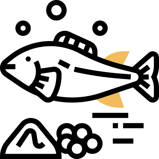 salmón Meticulous Yellow shadow icono