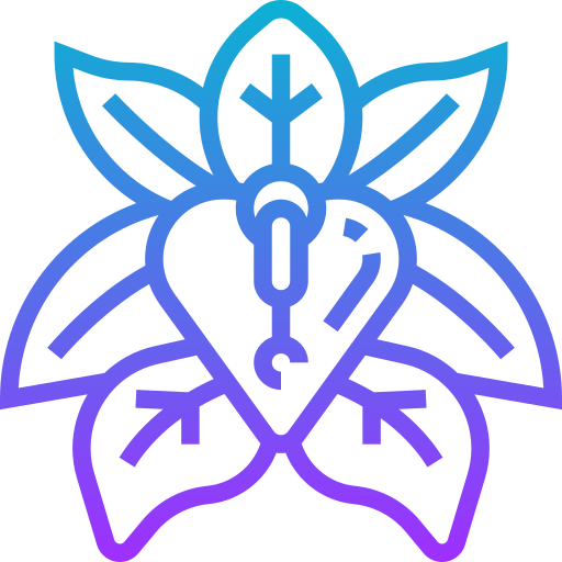 Erythrina Meticulous Gradient icon
