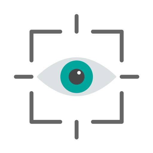 Vision Generic Flat icon