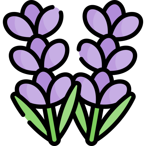 Lavender Kawaii Lineal color icon