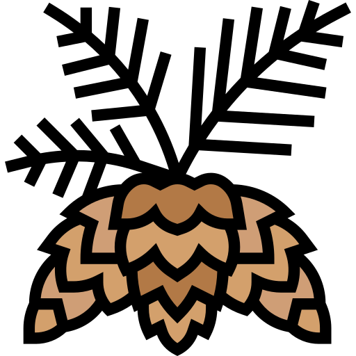 Pine cone Meticulous Lineal Color icon