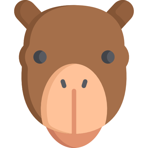 Camel Special Flat icon