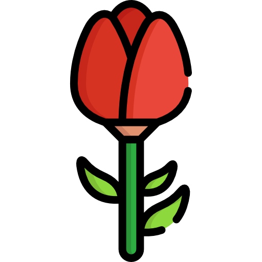 Rose Special Lineal color icon