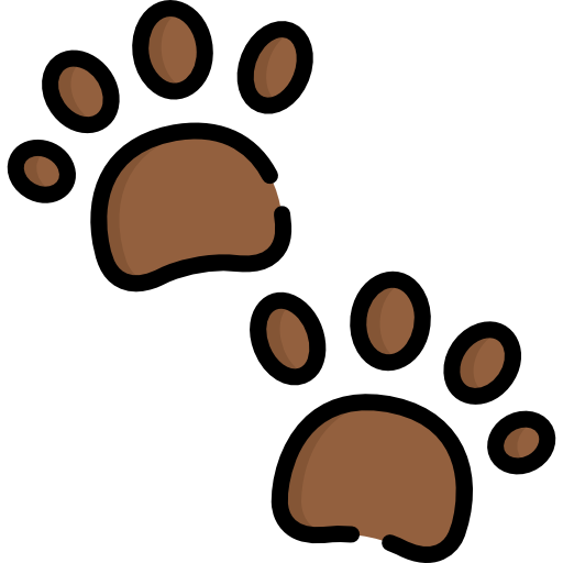 Pawprints Special Lineal color icon