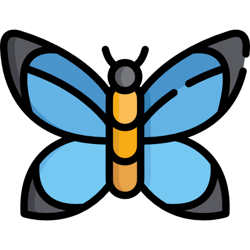 Бабочка Special Lineal color иконка