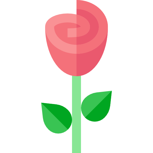rosa Basic Straight Flat Ícone