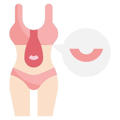 Diaphragm Surang Flat icon