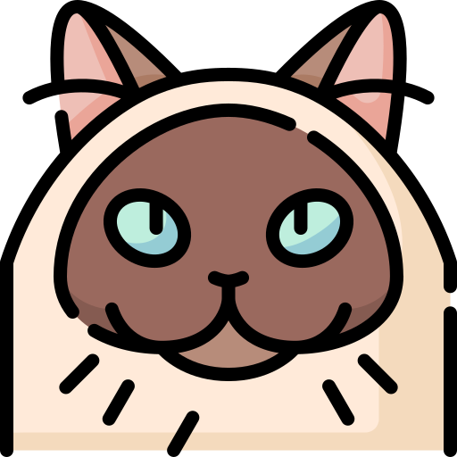 gato himalayo Special Lineal color icono