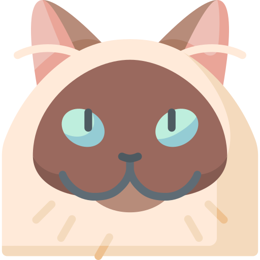 gato himalayo Special Flat icono
