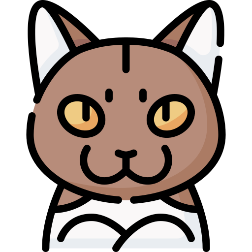 gato munchkin Special Lineal color icono
