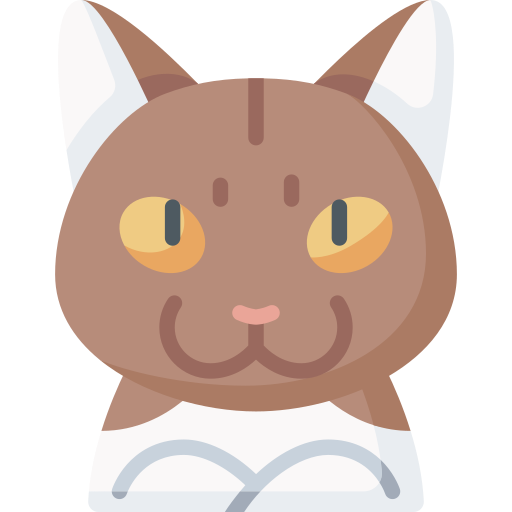 gato munchkin Special Flat icono