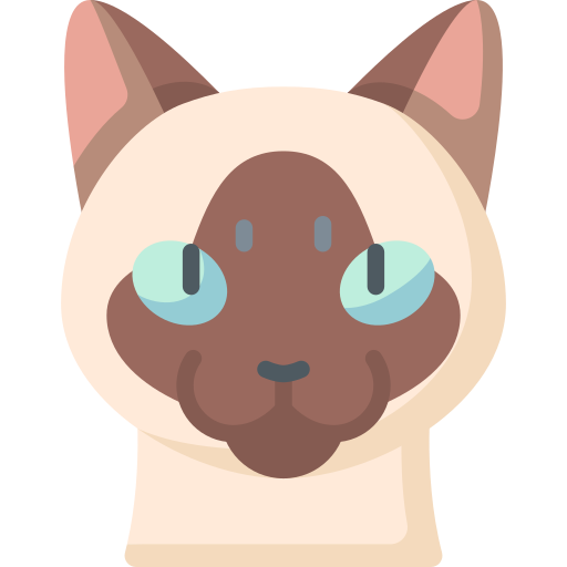 siamese Special Flat icon