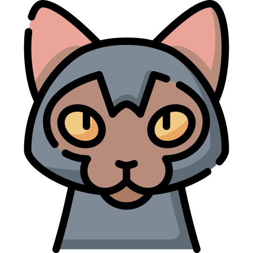 Lykoi Special Lineal color icon