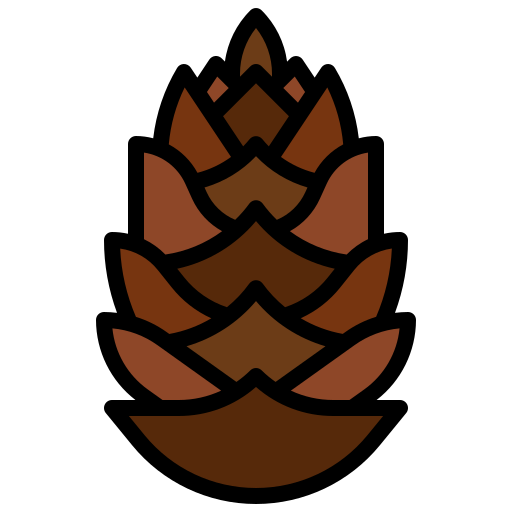 Pine cone Generic Outline Color icon