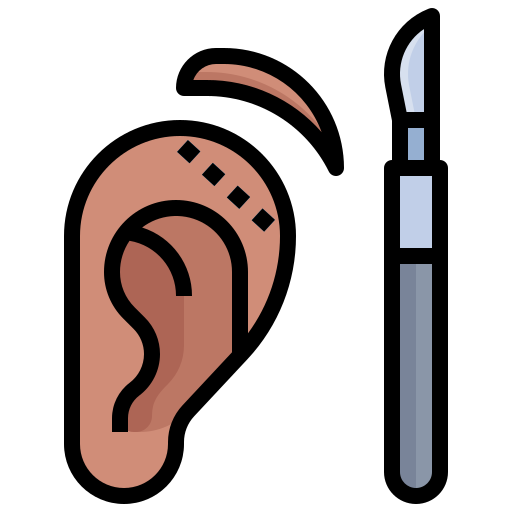 귀 Generic Outline Color icon