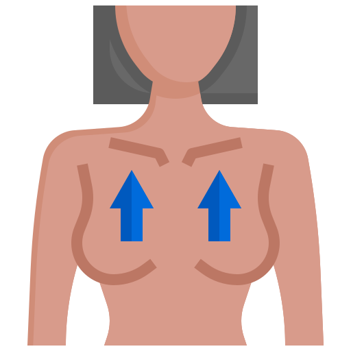 胸 Generic Flat icon