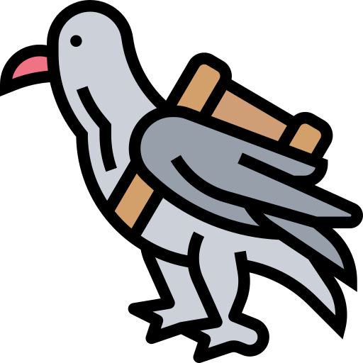 Pigeon Meticulous Lineal Color icon