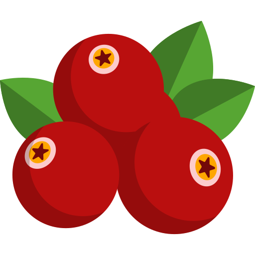 Cranberry Generic Flat icon