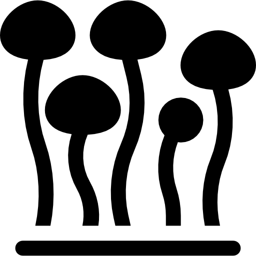 enokitake Basic Rounded Filled icon