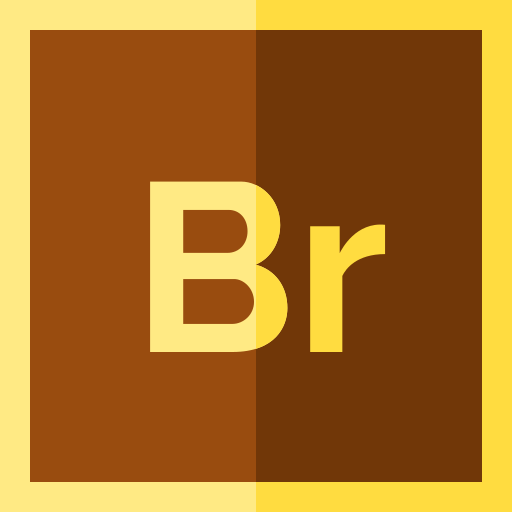 brücke Basic Straight Flat icon