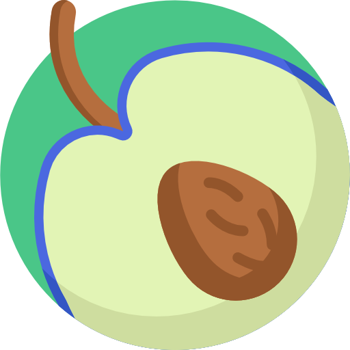 ciruela Detailed Flat Circular Flat icono