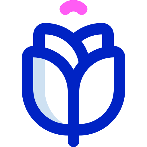 Rose Super Basic Orbit Color icon