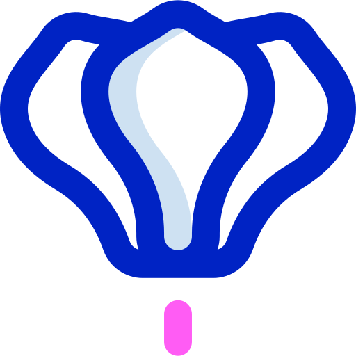 krokus Super Basic Orbit Color ikona