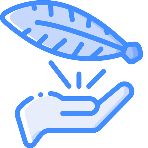 Feather Basic Miscellany Blue icon