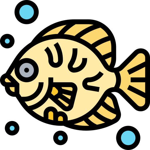 魚 Meticulous Lineal Color icon