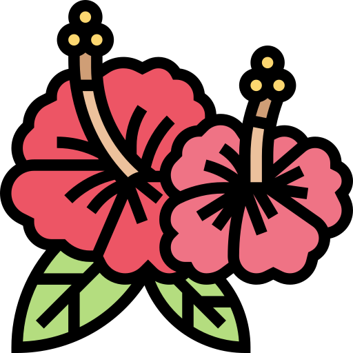 Hibiscus Meticulous Lineal Color icon